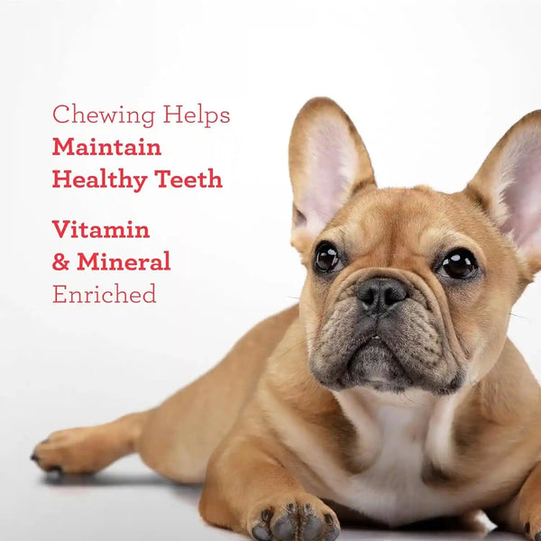 Dreambone Chicken Wrapped Sirloin Twist Stick Dog Treats, Daily Rawhide-Free Chew, Digests Safely and Completely, with Real Protein, Chicken, Sirloin and Veggies, 15 Count9