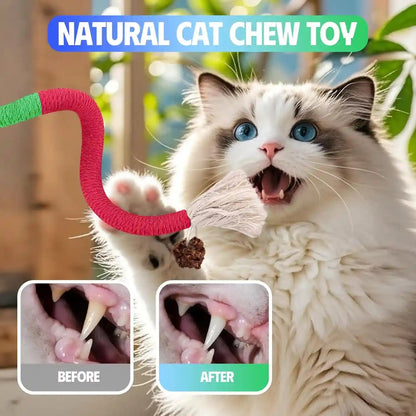 Silvervine Sticks Cat Chew Toys for Indoor Cats Dental Care Teeth Cleaning, Natural Kitten & Cat Teething Toys for Health, Catnip Toys Cat Chew Rope Suitable for All Breeds of Aggressive Chewers Cat3