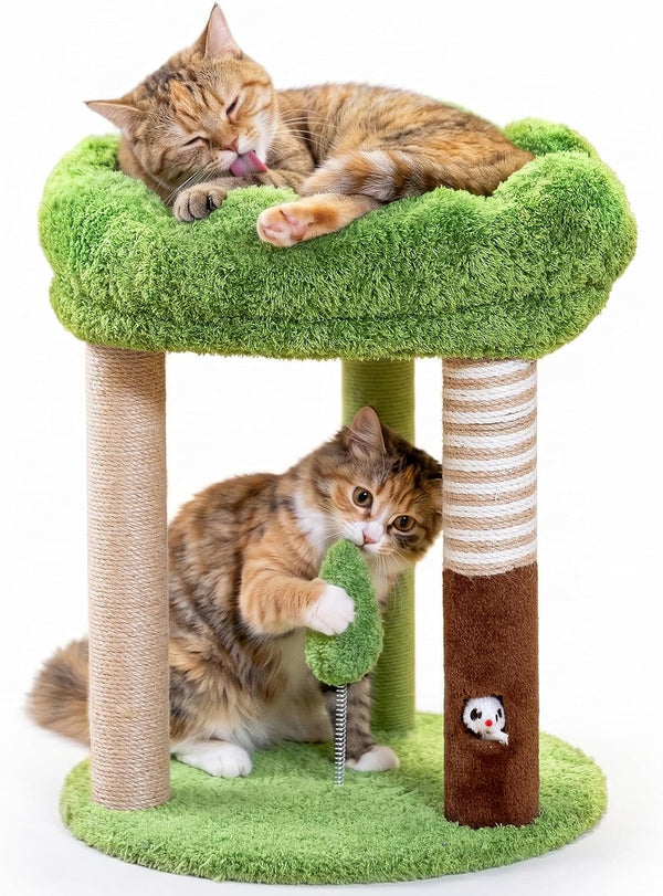 WOOCHPET 20 Inch Small Cat Tree for Indoor Cats and Kittens, Cat Tower with 3 Sisal Scratching Posts, Removable Washable Perch Bed, Hanging Toy Ball, Compact Cat Condo for Small Spaces1