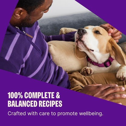 Wellness Complete Health Adult Dry Dog Food, Wholesome Grain Kibble, Natural, Chicken and Oatmeal Recipe, 30 Lb Bag4