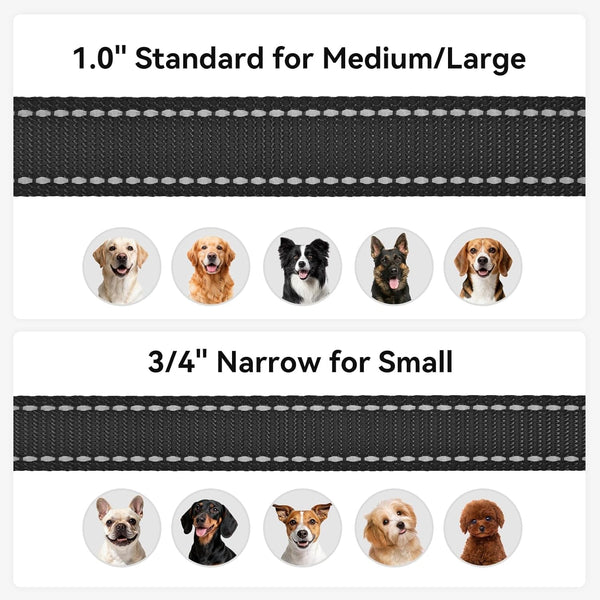 Joytale Reflective Dog Leash for Medium & Large Dogs, 6 FT X 1", Black | Heavy Duty Nylon Webbing, Padded Handle for Comfort, Visible at Night, for Walking & Training6