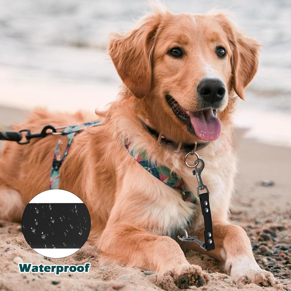 Petbonus Waterproof Dog Collar Safety Clip, Odor Proof Backup Safety Clip for Harness, Prong, Standard Collars, Heavy Duty Double Ended Clasp, Durable Dog Leash Connector for Training Walking (Black)3