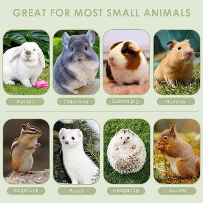 ERKOON Chinchilla Treats, Chew Toys for Teeth for Rabbit Guinea Pig Gerbil Rat Dwarf Hamster(Small Size)5