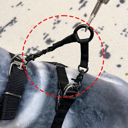 Double Clip Dog Leash for Two Dogs,Double Headed Hook Pet Safety 2 Way Coupler with Nickel Plated Swivel Clip3