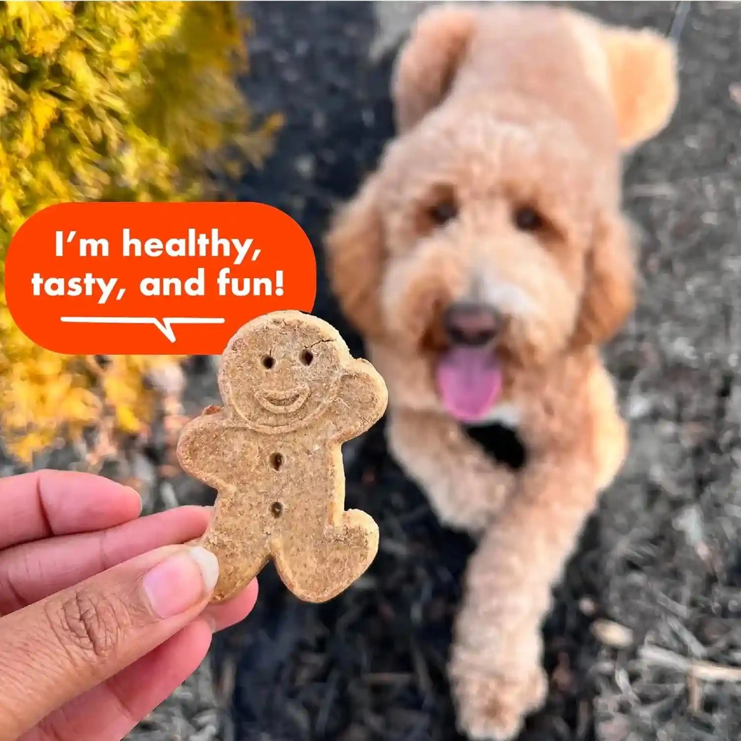 buddy-biscuits-crunchy-dog-treats-peanut-butter-3-5-lbs-bag