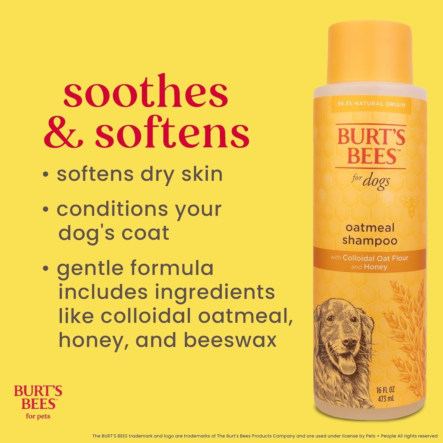 burts-bees-for-pets-oatmeal-dog-shampoo-with-honey-unscented-16-fl-oz-soothing-colloidal-oat-flour-formula-for-itchy-sensitive-dog-skin-ph-balanced-and-sulfate-free-for-regular-use