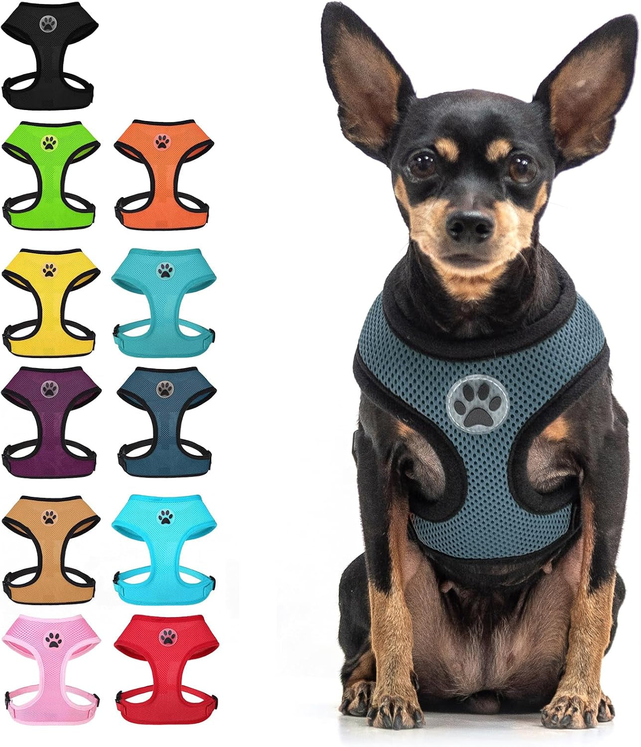 bingpet-small-dog-harness-no-pull-dog-harness-small-sized-dogs-soft-light-breathable-mesh-puppy-vest-with-safety-buckle-adjustable-step-in-pet-harnesses-for-easy-walking-running-training