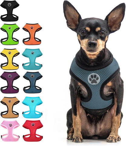 BINGPET Small Dog Harness, No Pull Dog Harness Small Sized Dogs, Soft Light Breathable Mesh Puppy Vest with Safety Buckle-Adjustable Step in Pet Harnesses for Easy Walking, Running, Training25
