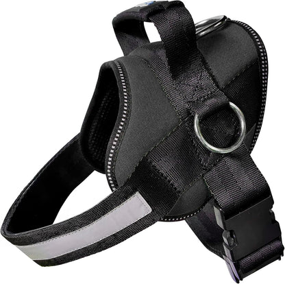 Joyride Basic Dog Harness 1.0 | Blue Serenity | M | Adjustable Pet Vest with 3 Side Leash Rings for Training, Walking and Improved Control for Small, Medium or Large Dogs7