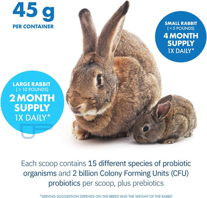 Healthygut Probiotics for Rabbits Dietary Supplement, All-Natural Digestive System Formula (120 Servings)7
