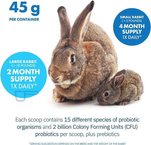 Healthygut Probiotics for Rabbits Dietary Supplement, All-Natural Digestive System Formula (120 Servings)7