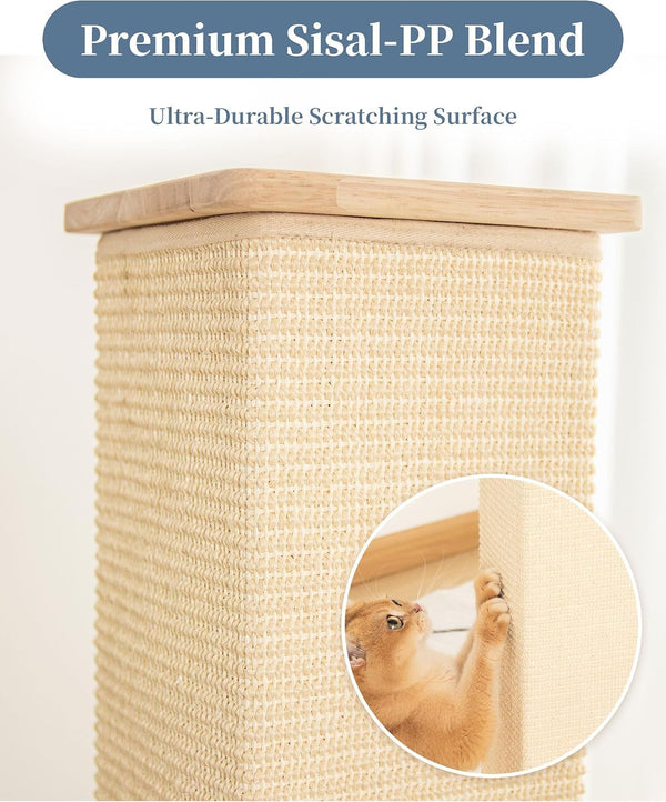 Sturdy Cat Scratching Post for Indoor Cats & Kittens, Classic Single Post with Sisal Rope, Jute Fiber, Wood Base4