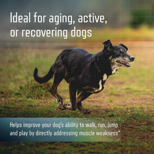 URSOLYX Soft Chews for Dogs, Medium Breed, Muscle Support, 60 Count | Ursolic Acid Supplement to Rebuild Muscle Strength & Mobility in Senior, Active or Recovering Dogs, 2 Month Supply6