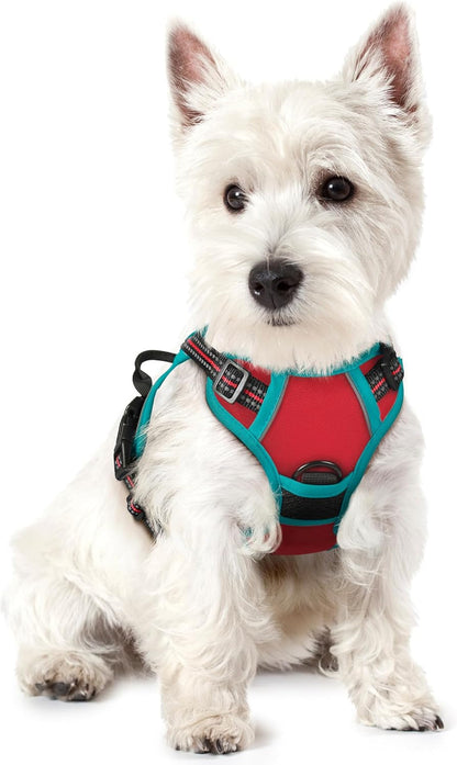 Rabbitgoo Dog Harness, No Pull for Large Dogs with 2 Leash Clips, Pet Vest | No Choke with Handle, Adjustable Soft Padded, Reflective, Easy Control for Walking, Black, Large140