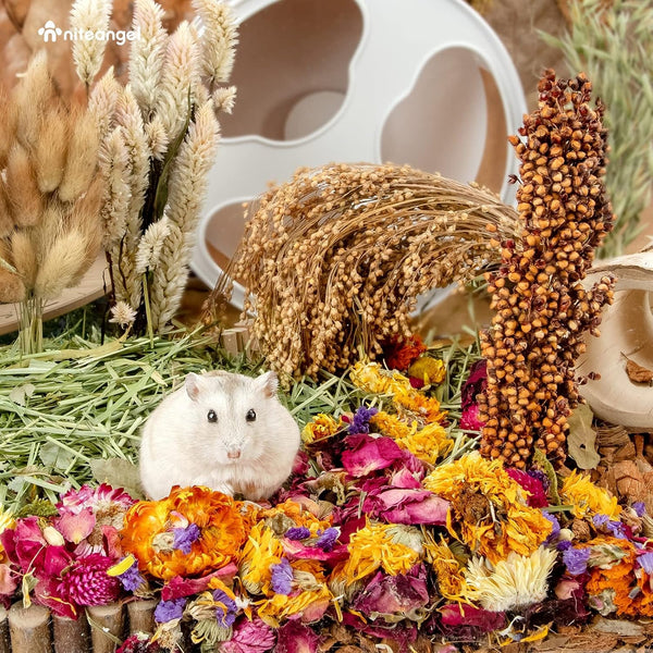 Niteangel Natural & Soft Hamster Bedding Mate: Air-Dried Flowers & No-Add | Fun to Cage Habitat & Adds Vibrant Color - Decor for Syrian Dwarf Hamster Gerbils Mice Degus or Other Small-Sized Pet6