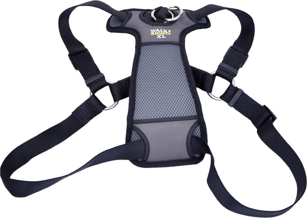 Coastal Pet Walk Right Front-Connect No-Pull Padded Dog Harness - Adjustable & Comfortable Dog Harness - Small & Large Breed Fit - Quality Pet Supplies - Black, LRG (26"-38")1