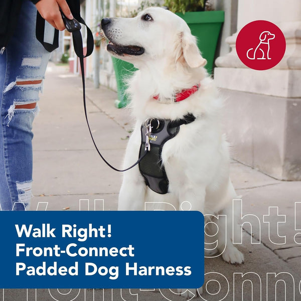 Coastal Pet Walk Right Front-Connect No-Pull Padded Dog Harness - Adjustable & Comfortable Dog Harness - Small & Large Breed Fit - Quality Pet Supplies - Black, LRG (26"-38")3
