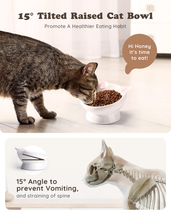 Raised Cat Food Bowl Ceramic 15° Tilted Cat Food Bowls Protect Cat'S Spine anti Vomiting Backflow Prevention Bowls for Adult Kitty, Kitten, and Small Dogs, Pink3