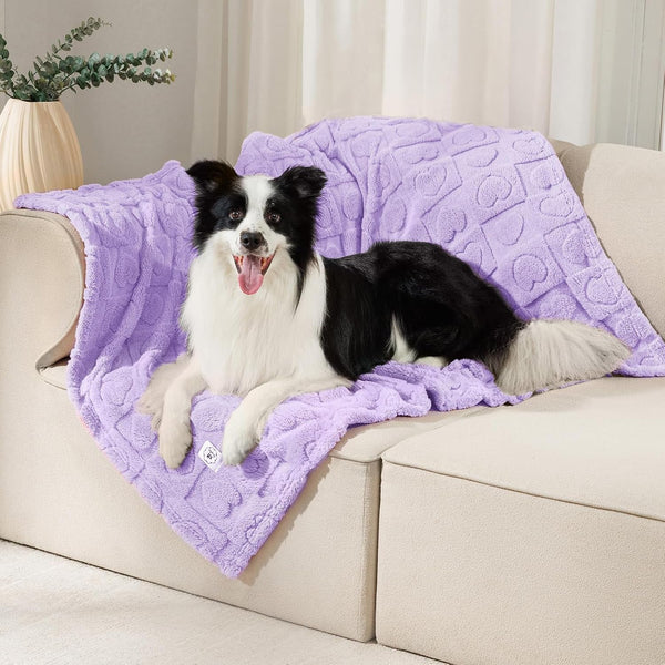 Luciphia Small Dog Blanket Washable Pet Bed Cover Soft Fluffy Puppy Blanket with Premium Fleece 300GSM Cozy Calming Cat Blankets for Indoor Cats Pink 30X20 Inch12