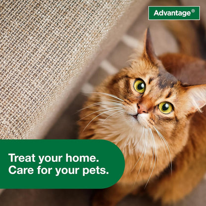 Advantage Carpet & Upholstery Spot Spray | Kills Fleas & Ticks & Bedbugs | 16 Oz.8