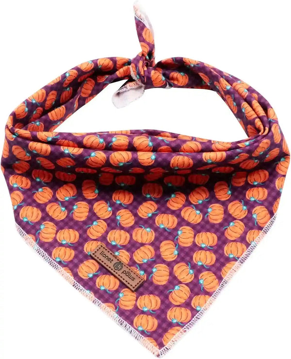 Lionet Paws Dog Bandana for Small Medium Large Dogs, Cat Kerchief Blue DOIT, Triangle Bibs Scarf for Girl or Boy27