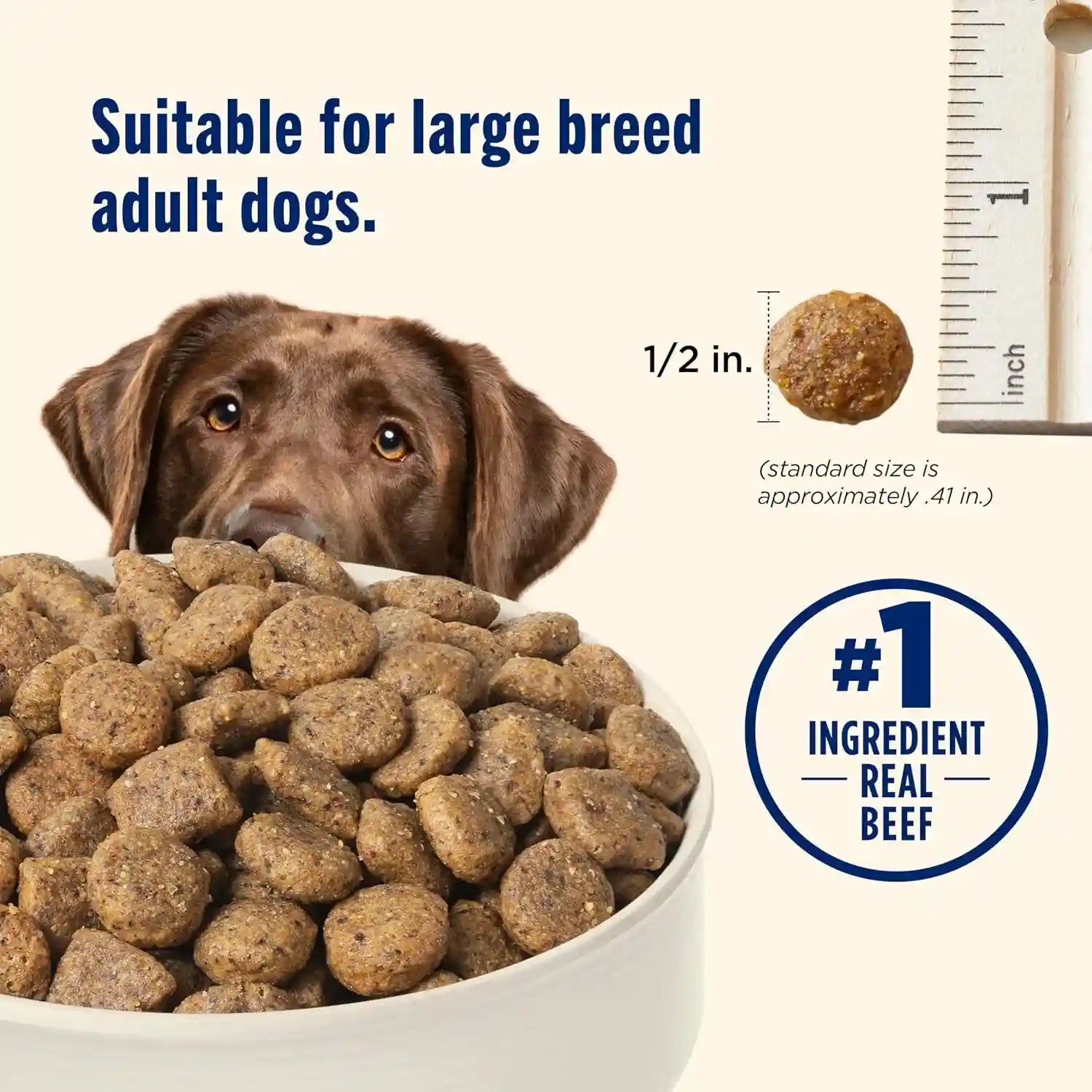 nutrish-large-breed-dry-dog-food-with-beef-40-lb-bag-rachael-ray-pea-carrot-brown-rice-recipe-made-with-real-protein-to-support-lean-muscle-mass-healthy-organs