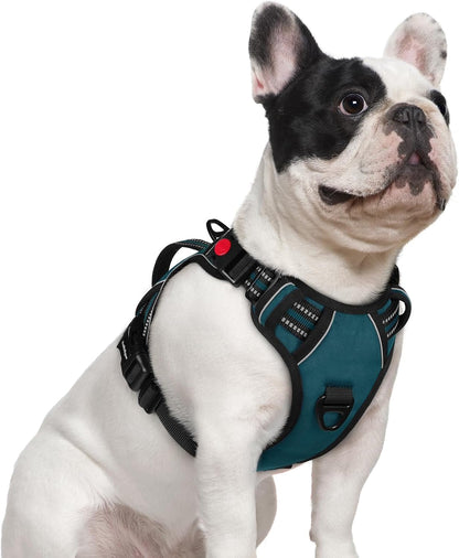 Rabbitgoo Large Dog Harness, Easy Wear with 3 Buckles and Lift Handle | No Pull with Front Clip for Walking, Adjustable Soft Padded, Reflective, Easy Control, Pink, Large14