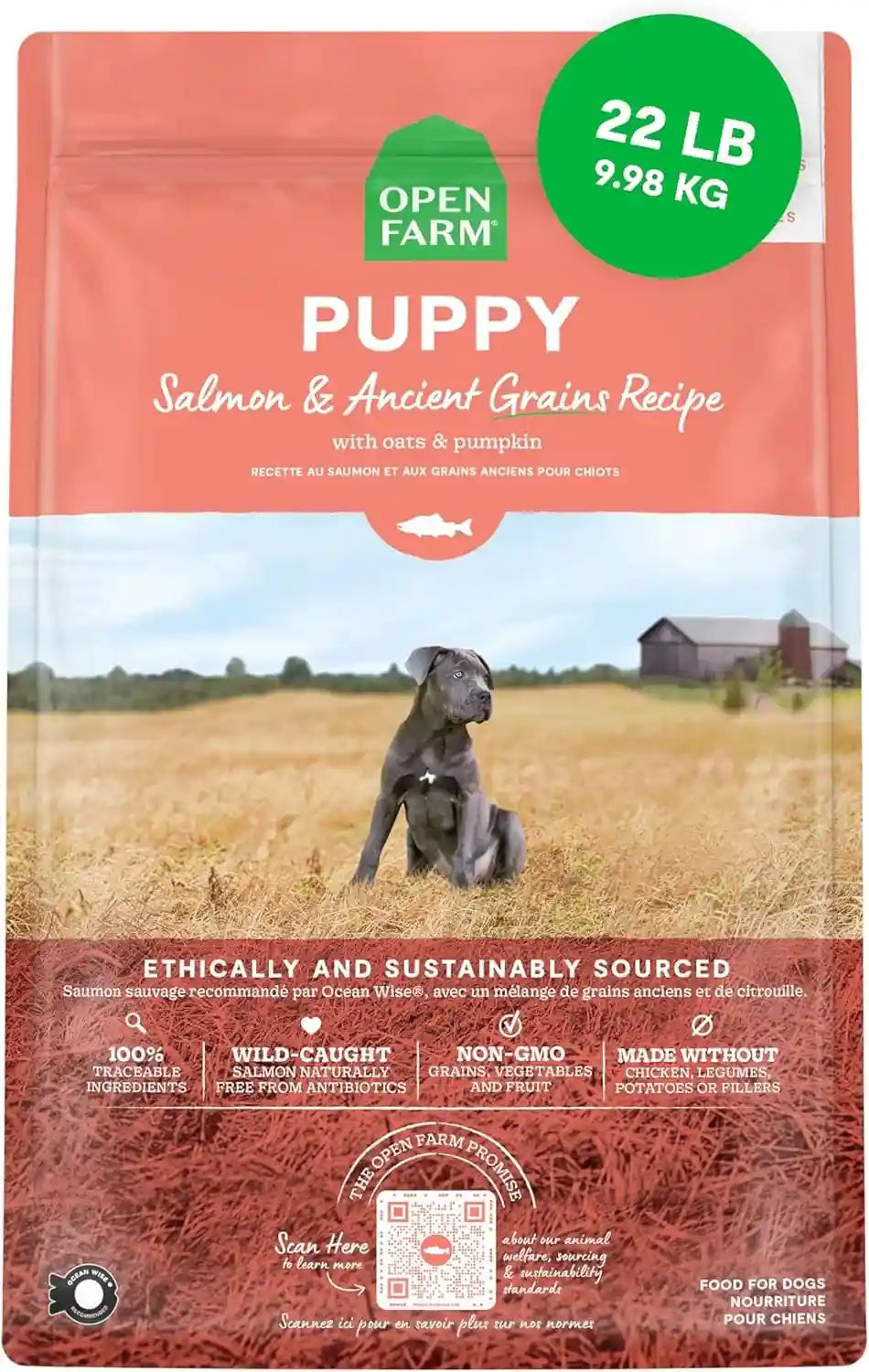 open-farm-ancient-grains-dry-puppy-food-chicken-salmon-kibble-4lb-bag-all-puppies-all-breed-sizes-protein-rich-nutrient-dense-100-traceable-ingredients-non-gmo-fruits-veggies