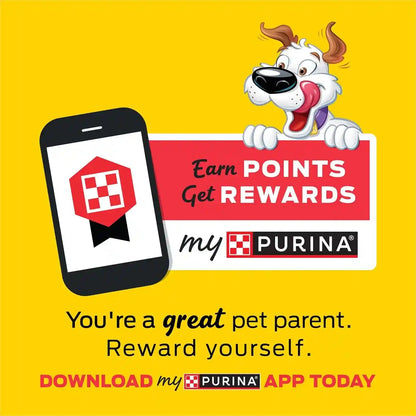 Purina Beggin' Strips with Real Meat Dog Training Treats with Bacon and Cheese Flavors - (Pack of 2) 26 Oz. Pouches4