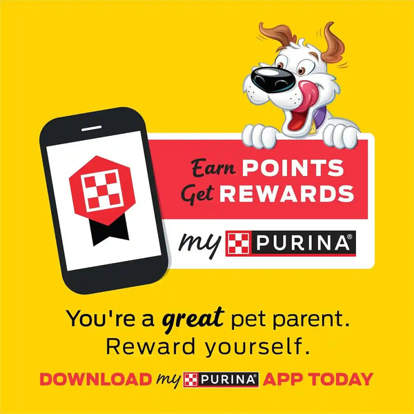 Purina Beggin' Strips with Real Meat Dog Training Treats with Bacon and Cheese Flavors - (Pack of 2) 26 Oz. Pouches4