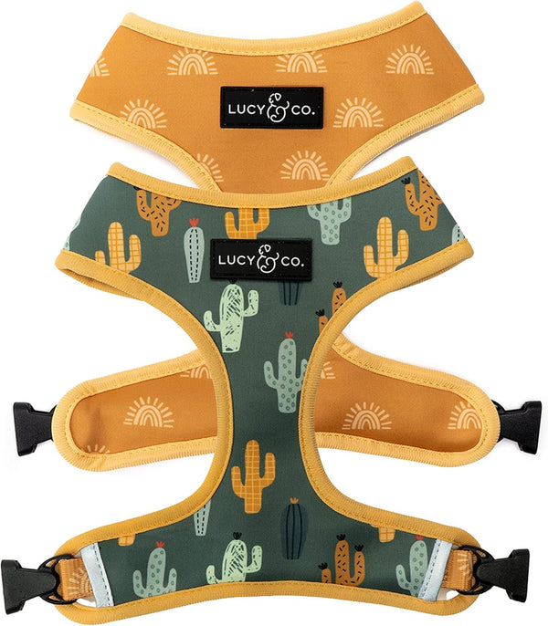 Lucy & Co. Reversible Dog Harness - Water-Repellent Neoprene, Dual-Print Design, Easy Swap Style, Adjustable Comfort Fit - Take a Bow Reversible Harness - Small11