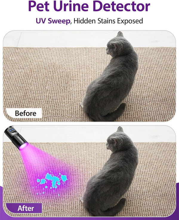 Black Light Flashlight,2N1 Uv＆White Light with LCD Display | 395Nm Blacklight and High Lumens White Light , Zoomable Design , for Pet Urine Detection, Home, Scorpions, Resin Curing, Leak2