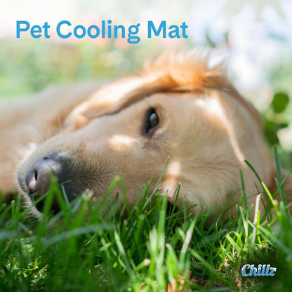 The Green Pet Shop Chillz Gel Mat, Large - Pressure-Activated Cooling Pad for Pets 25-50 Lbs - Non-Toxic, No Water or Refrigeration Needed - Ideal for Home, Travel & Crates3
