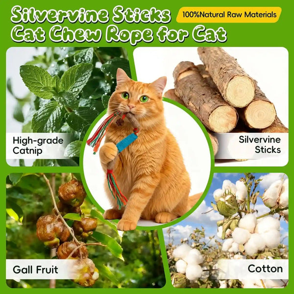 Silvervine Sticks for Cats & Cat Chew Rope Toys for Indoor Cats Dental Care Teeth Cleaning, Kitten & Cat Teething Toys for Health, Cat Chew Stick Suitable for All Breeds of Aggressive Chewers Cat2