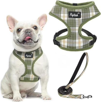 PUPTECK Soft Mesh Dog Harness Small Sized and Leash Set Pet Puppy Cat Comfort Padded Vest No Pull Harnesses, Beige, S37