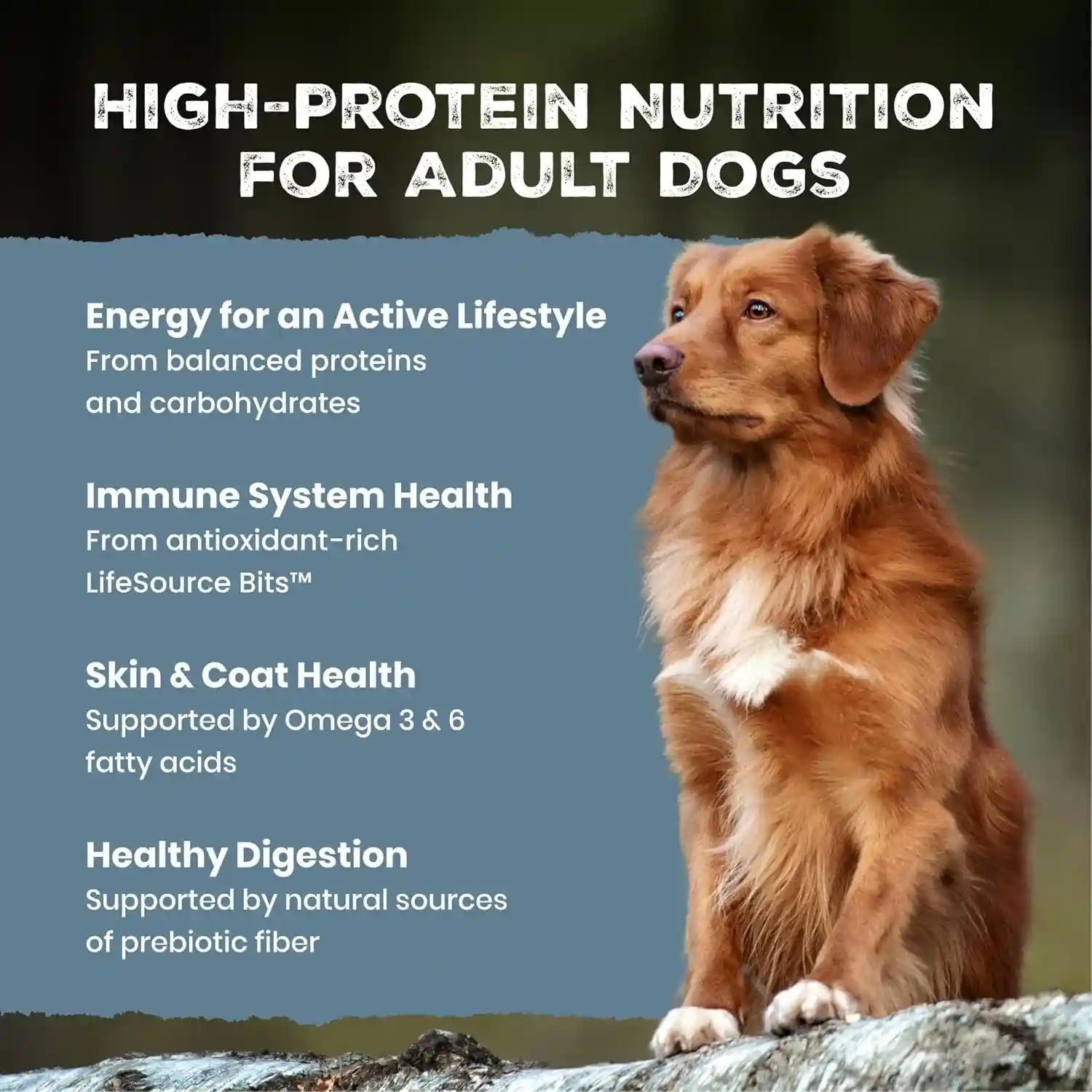 blue-buffalo-wilderness-chicken-adult-dry-dog-food-with-wholesome-grains-antioxidant-rich-fruits-veggies-39g-protein-vibrant-energy-for-an-active-life-made-with-natural-ingredients-28-lbs