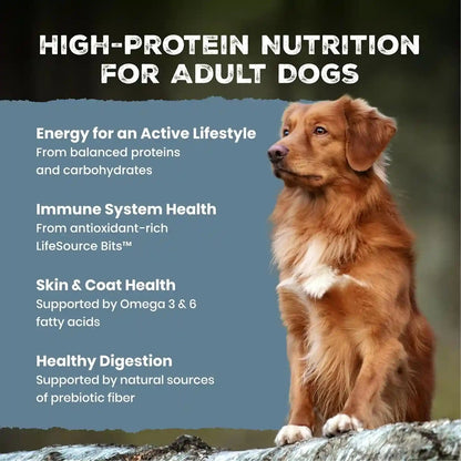 Blue Buffalo Wilderness Chicken Adult Dry Dog Food with Wholesome Grains + Antioxidant-Rich Fruits & Veggies, 39G Protein, Vibrant Energy for an Active Life, Made with Natural Ingredients, 28 Lbs.3