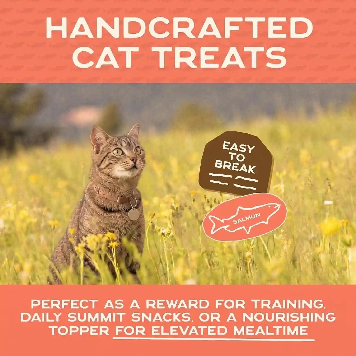smart-cookie-salmon-jerky-cat-treats-real-salmon-flaxseed-omega-3s-for-skin-coat-grain-free-high-protein-handcrafted-natural-treat-made-in-the-usa-pack-of-1