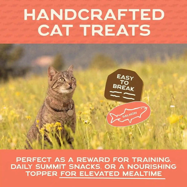 Smart Cookie Salmon Jerky Cat Treats – Real Salmon & Flaxseed, Omega-3S for Skin & Coat, Grain Free, High Protein, Handcrafted Natural Treat – Made in the USA (Pack of 1)7