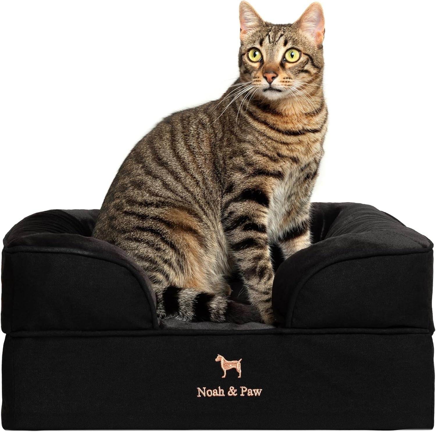 noah-paw-large-dog-bed-35x25x11-inch-orthopedic-dog-beds-eggshell-memory-foam-infused-with-cooling-gel-inner-cover-water-resistant-machine-washable-faux-leather