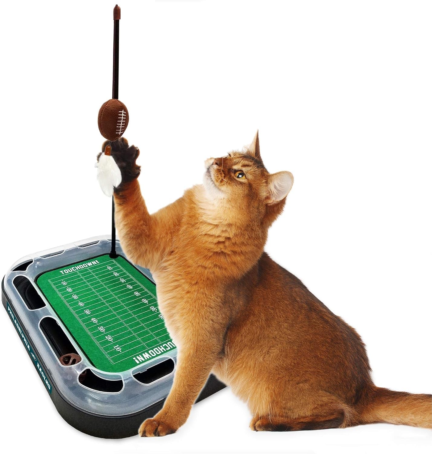 pets-first-philadelphia-eagles-cat-scratcher