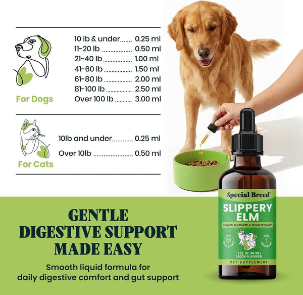 Slippery Elm for Dogs and Cats - Soothing Digestive Relief and Gut Support - Stomach Comfort and Throat Support - Herbal Drops for Pets - Easy to Use - Bacon Flavored - 2 Fl Oz6