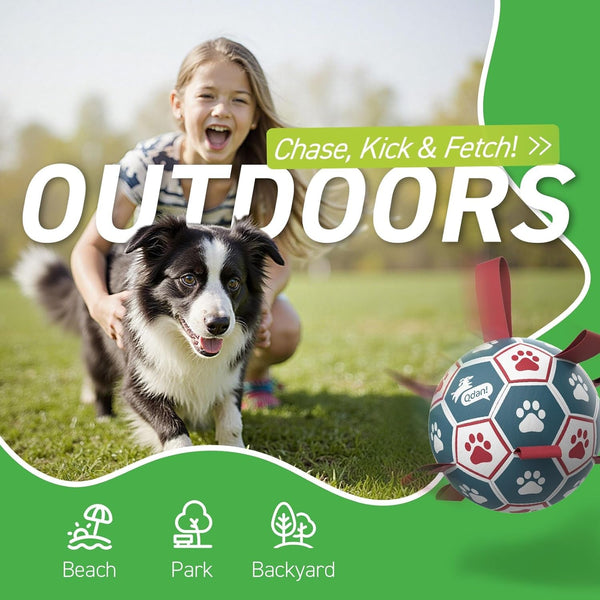 QDAN Dog Balls, 6 Inch Dog Soccer Ball with Straps, Herding Balls for Dogs | Outdoor Dog Toys Balls for 20-40 Lb Dogs, Puppy Ball to Keep Them Busy, Dog Pool Water Play Toy, Puppy Birthday Gifts7