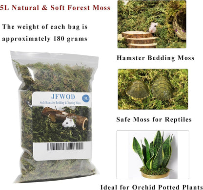 5L Forest Moss for Hamster Syrian Gerbils Bedding, Natural Moss Perfect for Potted Plants, Terrariums, Reptile Tanks and Live Creature Projects2