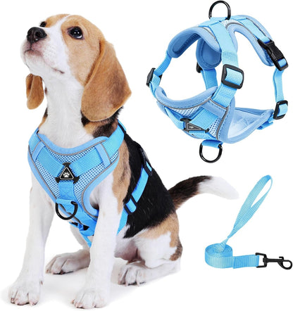 No Pull Dog Harness with Leash Set for Small Sized Dog, Reflective Adjustable No Choke Front Clip Cat Vest Harness with Breathable Mesh, Comfortable Soft Padded Pet Vest, Blue M1