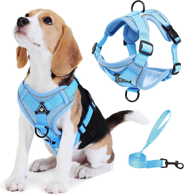 No Pull Dog Harness with Leash Set for Small Sized Dog, Reflective Adjustable No Choke Front Clip Cat Vest Harness with Breathable Mesh, Comfortable Soft Padded Pet Vest, Blue M1