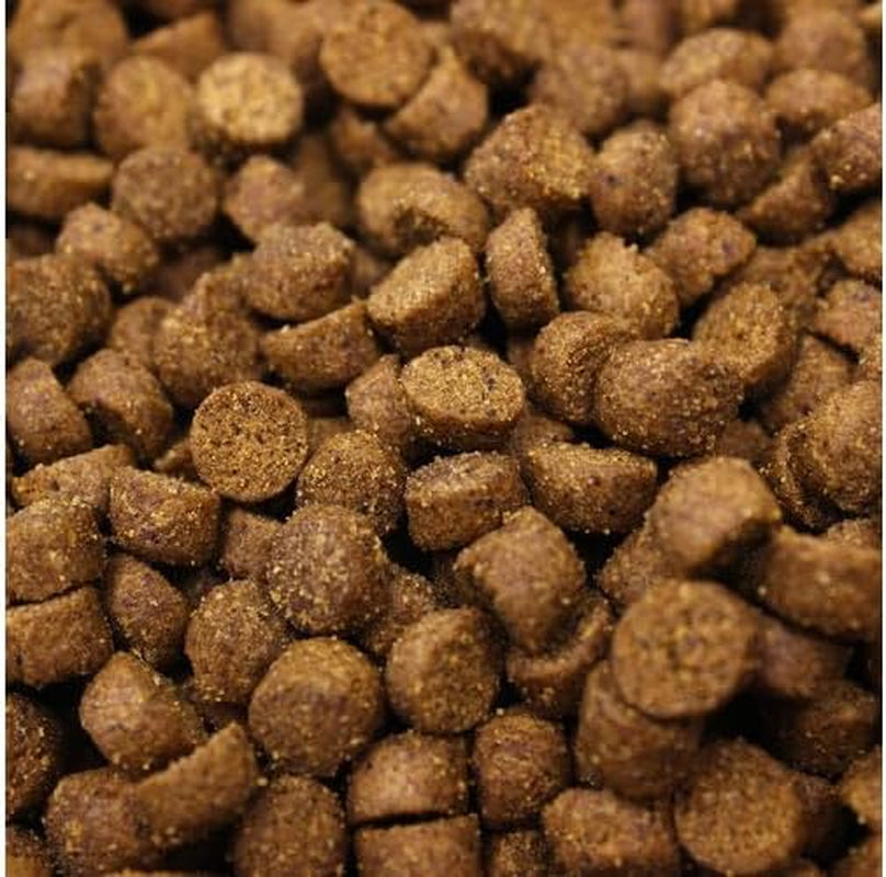 higgins-pet-food-intune-ferret-4lb