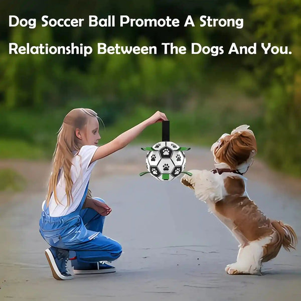 Dog Soccer Ball, Interactive Toys for Tug of War, Puppy Birthday Gifts, Tug Toy, Water Toy, World Cup Durable Balls for Small & Medium Size (6 Inch)5