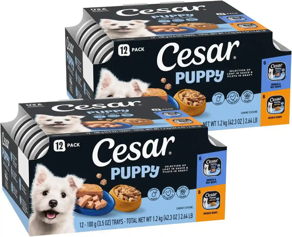 Cesar Puppy Classic Loaf Wet Dog Food, Chicken & Beef, 3.5 Oz, 24 Count | Real Chicken #1 Ingredient, Made in USA, No Fillers or Artificial Flavors, Essential Nutrients, Slow-Cooked, Easy Peel Trays12