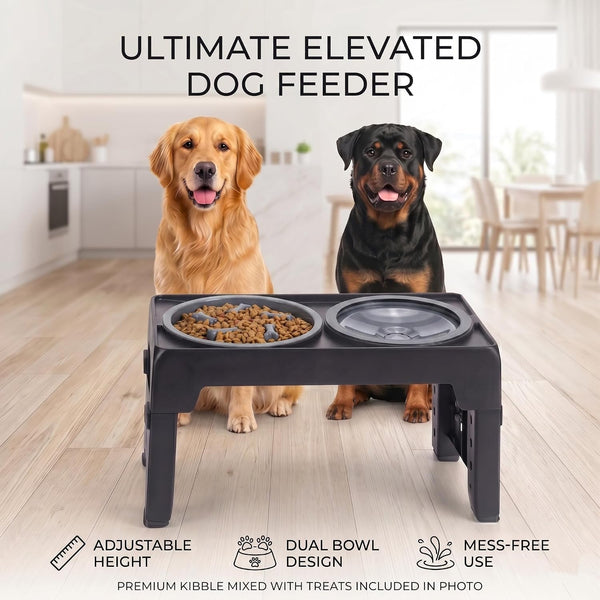 LALOBLUE Collapsible Dog Bowls Raised Elevated Adjust Stand | Elevated Dog Bowls, Dog Bowls Raised, Dog Bowls Elevated,5 Heights Adjustable Elevated Raised Dog Bowls Stand7